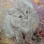 The Curious Kitten from Andor Koncsik Image 4