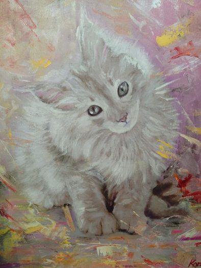 The Curious Kitten from Andor Koncsik