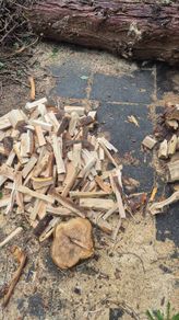 Fire Wood