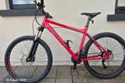 Adult mountain bike