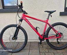 Adult mountain bike