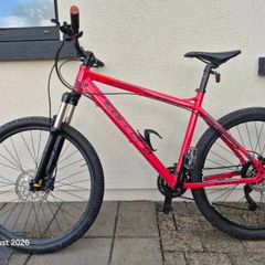 Adult mountain bike