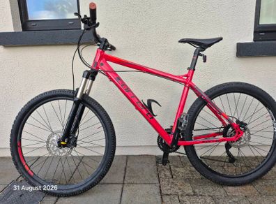 Adult mountain bike