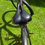 Trek Fx5 Sport Carbon Image 9