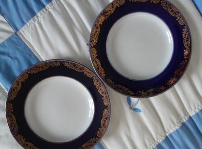 PLATES - Russian - Lomonosov