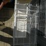 bird cage Image 2
