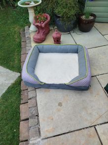 dog bed