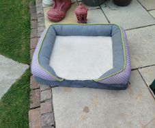dog bed