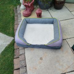 dog bed