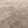 Rug Image 2