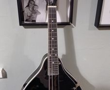 Harley Benton mandolin