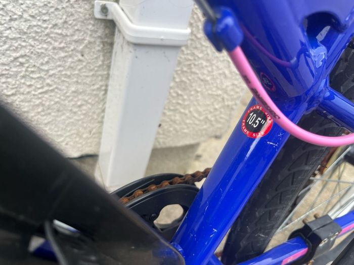 Girls Carrera bike