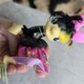 Songbird Serenade Sparkling & Spinning Skirt MLP G4 My Little Pony Image 7