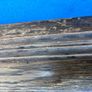 Old oak timber Image 5