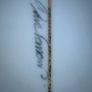 Zuma Jay 6'4 Speed Stix Fish Excellent Condition Image 7