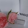New genuine pandora fish charm Image 5