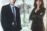 Bones - Season 1 [DVD TV Fatbox]