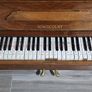 Kingscourt piano, manufactured by Pigott and Company, Dublin. Made in England Image 2