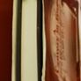 A Century in Focus/ Photography & Photographers in The North of Ireland/ 1839-1939/ 1st edition/ 2000 Image 3