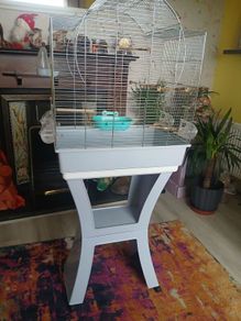 bird cage