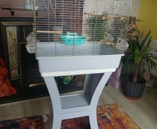bird cage