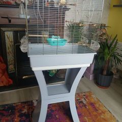 bird cage
