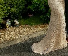 Champagne debs dress