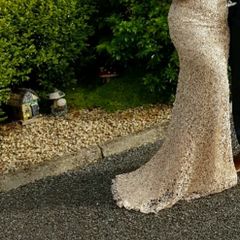 Champagne debs dress