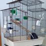Bird Cage Image 5