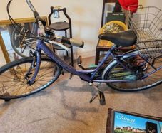ladies bike