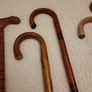 Walking sticks Image 4