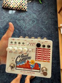 Grand canion loop delay pedal