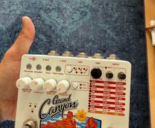 Grand canion loop delay pedal