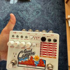 Grand canion loop delay pedal