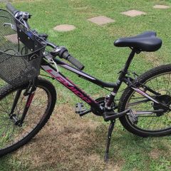 Girl's Bike