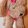 11 cute pups & dogs Image 7