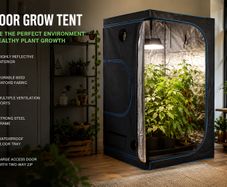 Grow Tent Indoor Grow Tent Greenhouse Box