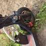 scooter Image 4