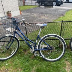 pendleton bike