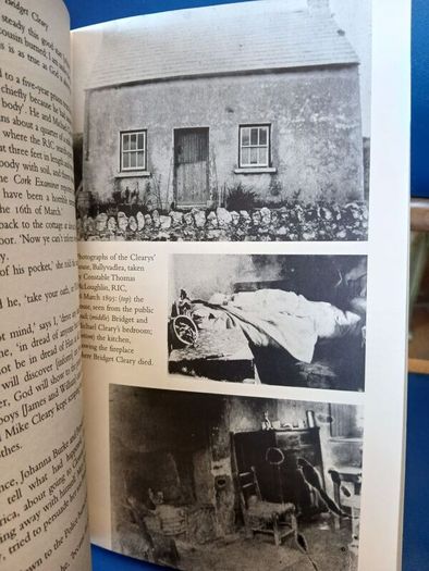 The Burning of Bridget Cleary