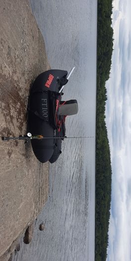 Rapala Ft100 Complete Setup