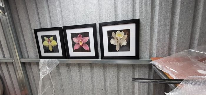 3 framed pictures