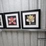 3 framed pictures Image 5