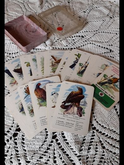 Vintage birds cards