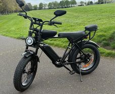 V8 Max E-bike