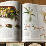 Flower Arranging Books Image 2