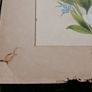 Antique 1800s Wall Art , Holy Card Paintings , Catholic Posters 21" x 14" and 2x 16" x 14" Image 10