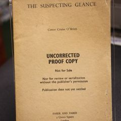 The Suspecting Glance