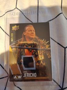 AEW 2021 Upper Deck - Chris Jericho Gold Relic - #062/199 WWE