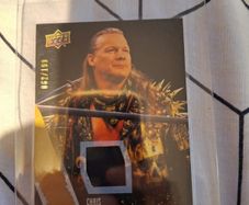 AEW 2021 Upper Deck - Chris Jericho Gold Relic - #062/199 WWE